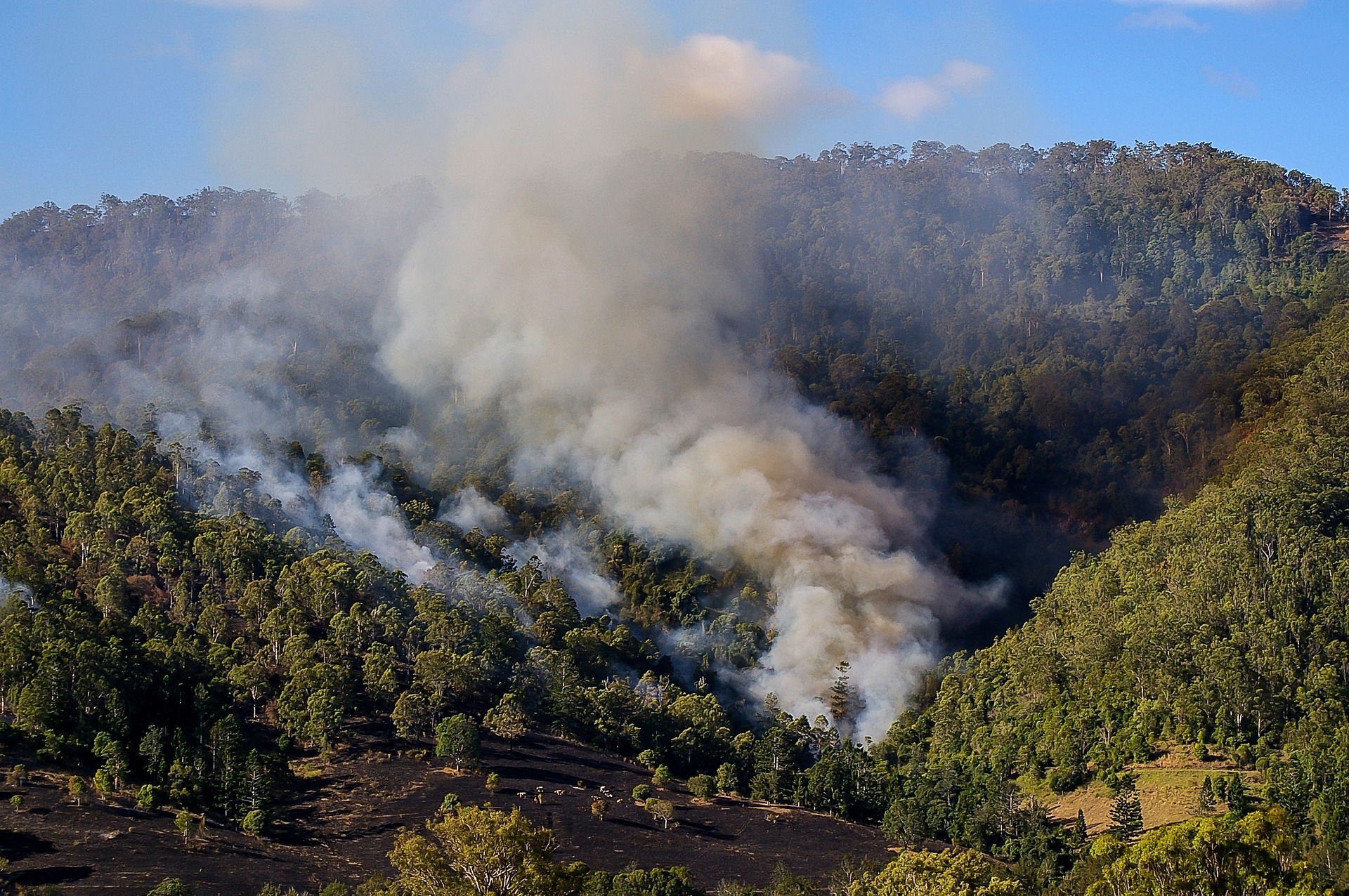 Early bushfire season in parts of NSW