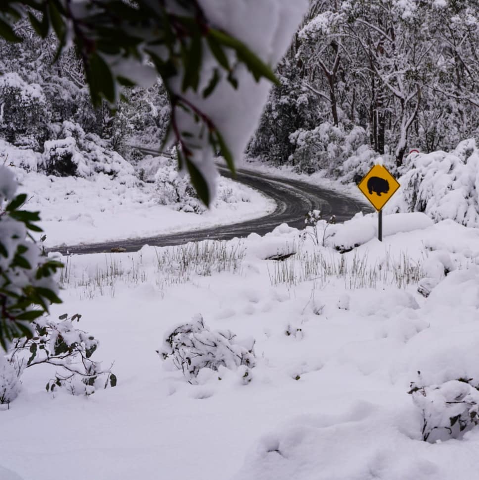 Is Australia in for a good snow season?