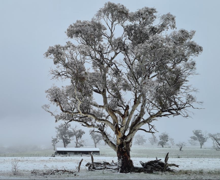 Cheeky spring snowfall drops to unexpectedly low levels