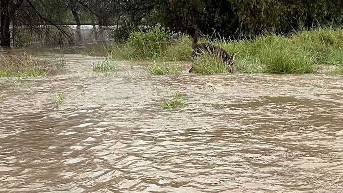 BOM says threat of flooding, storms in Queensland to ease after heavy rainfalls break November records