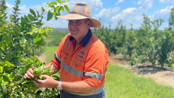 Queensland's troubled Paradise Dam overflows boosting short-term water for farmers