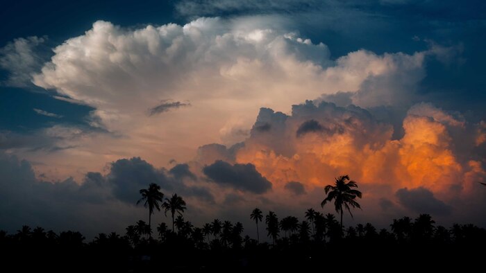 BOM forecasts more wet weather for the east while the Top End swelters