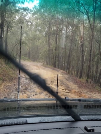 Bushwalker dies after being struck by falling tree branch in Watagans National Park