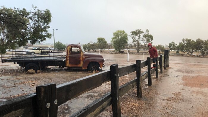 Queensland cattle farmers rejoice amid deluge of wet weather with rain forecast into December