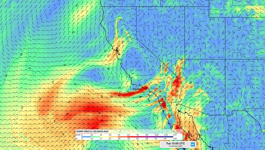 Image: Forecast 900 hPa winds on Tuesday, January 14, showing strong Santa Ana winds over southern California. Source: Weatherzone.