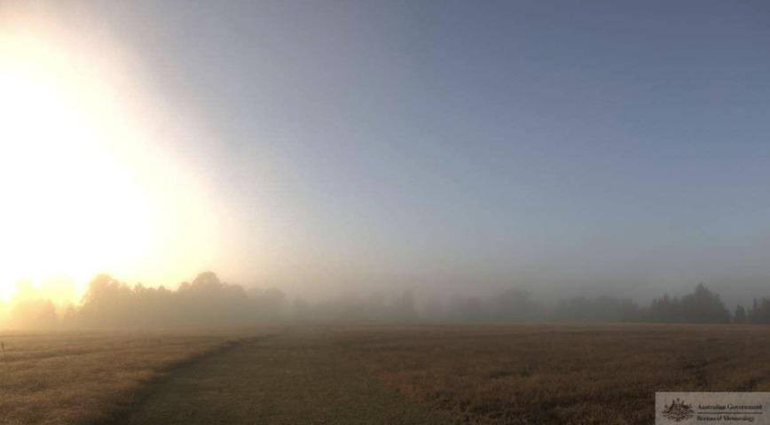 Image: Fog shrouding Camden Airport. Source: Bureau of Meteorology