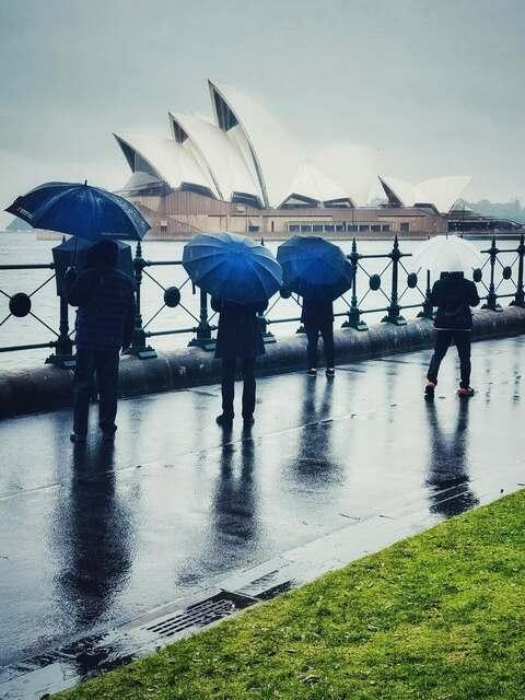 Image: It has been umbrella weather all week in Sydney and the rain is not going anywhere yet. Source: Mary Regan on Instagram @reganmaryt