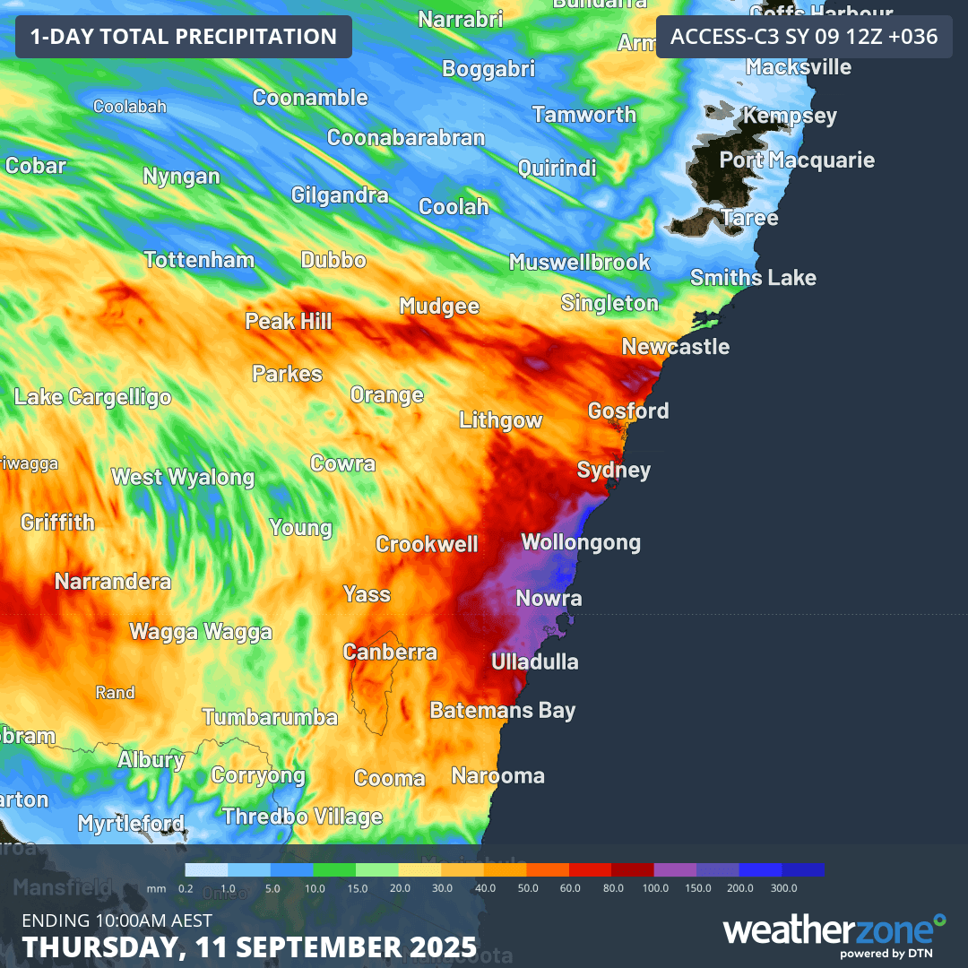 Image: Rainfall accumulations across NSW in the 36-hours to 10am on Thursday, September 11, 2025. Source: Weatherzone