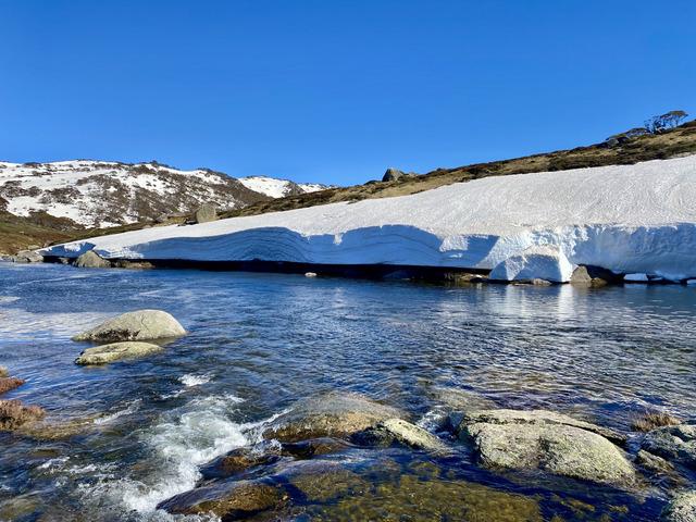 Image: A wall of ice several metres high on the banks of Spencers Creek, NSW, in October, 2025. Source: Steve Smith