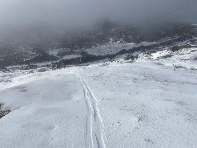 Image: A lone skier's tracks on Mt Perisher, NSW, on December 1, 2025. Source: Steve Smith