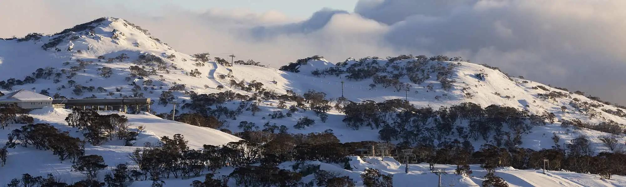 Perisher