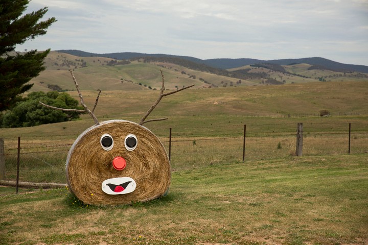 Image: Aussie Rudolph. Source: iStock / shells1.