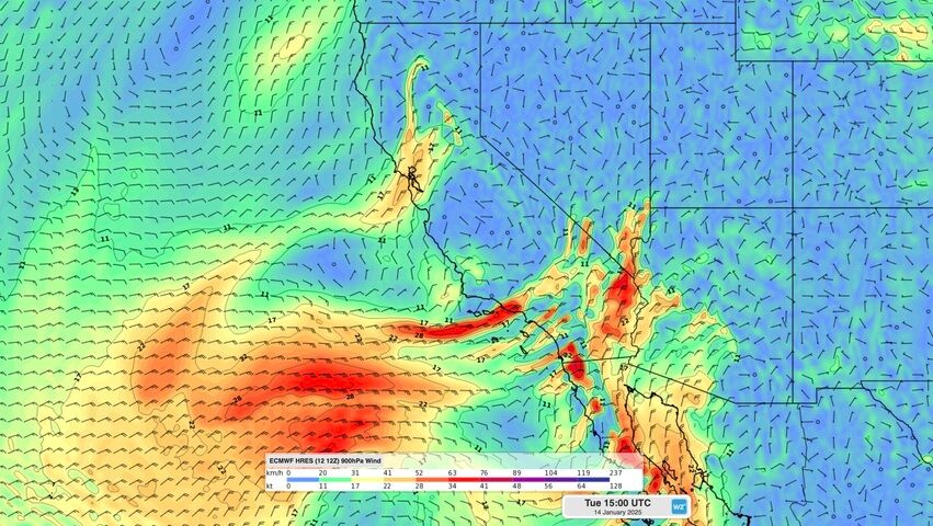 Image: Forecast 900 hPa winds on Tuesday, January 14, showing strong Santa Ana winds over southern California. Source: Weatherzone.