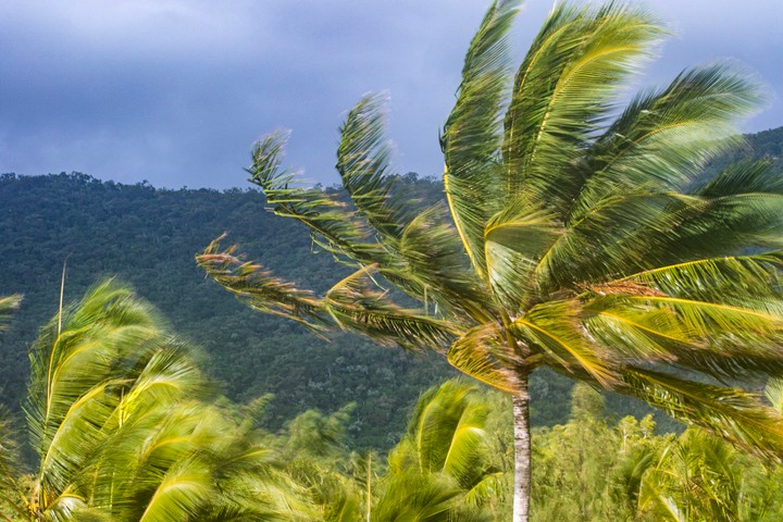 Image: The winds of change just blew through our tropical cyclone name list. Source: iStock/Philip Thurston