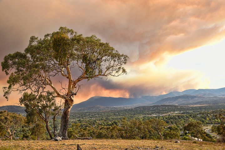 Image: Fires in Namadji Park, South of Canberra. Source: Istock/Daniiielc