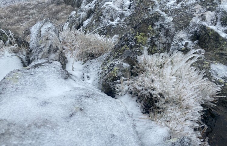 Image: Light snow at an elevation of 2020m at Perisher, NSW, on the morning of Thursday, May 1, 2025. Source: Steve Smith