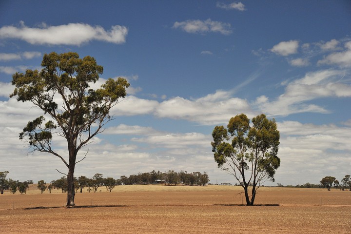 Image: Farmland in central and western Victoria needs a good, steady soaking. Source: iStock/Quentinjlang
