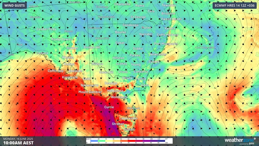 Image: 2m wind gust forecast across south east Australia, 10 am AEST Monday 16 June (ECMWF).. Source: Weatherzone