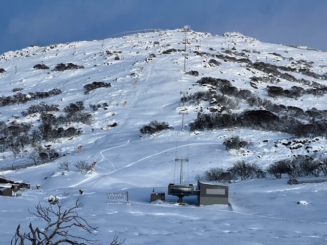 Image: The new Mt Perisher 6 on June 10 after the first major snowfall of the 2025 season. Source: Perisher Resort
