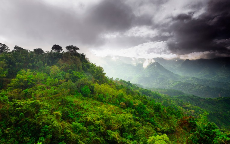 Image: Rain and cloud close in on the lush forests of mountaineous Flores, Indonesia.. Source: iStock / Funky-data