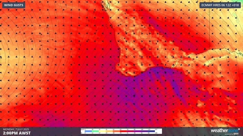 Image: Forecast wind gusts on Monday afternoon. Source: Weatherzone.