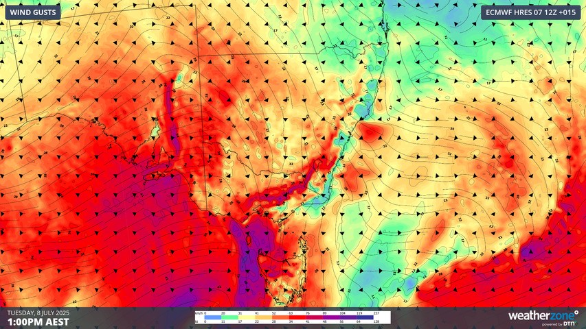 Image: Map of surface-level wind gusts across Australia at 1pm on Tuesday, July 8, with purple showing areas where gusts could reach 100 km/h or stronger. Source: Weatherzone