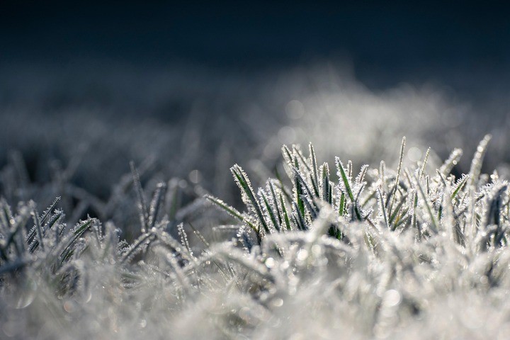Image: Widespread frost was observed in Greater Western Sydney this morning. Source: Pixabay