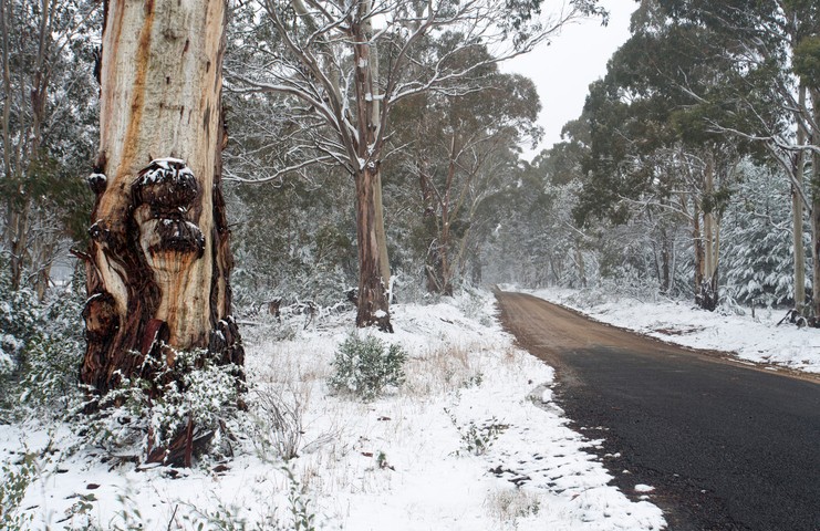 Image: Snow will fall well beyond the alpine regions of mainland Australia this week. Source: iStock/lovleah
