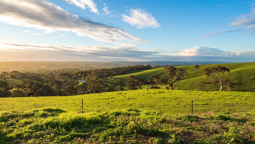 Image: Willunga Hill, just south of Adelaide, has finally started to green up after consistent rain. Source: iStock/moisseyev