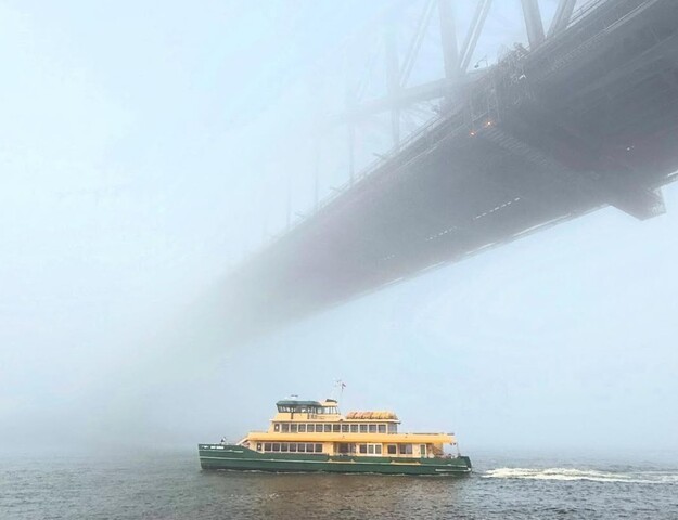 Image: One of the rare Sydney ferry services that wasn't cancelled early on Tuesday morning. Source: @nit.stagram on Instagram