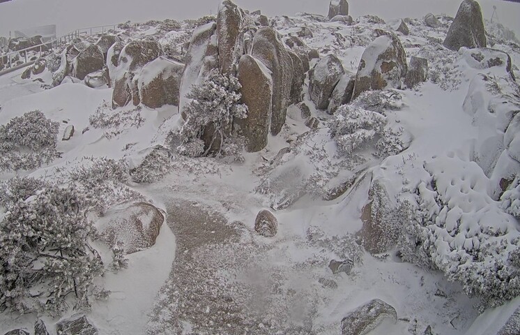 Image: Snow over kunanyi/Mount Wellington this morning, Saturday, August 30.. Source: City of Hobart
