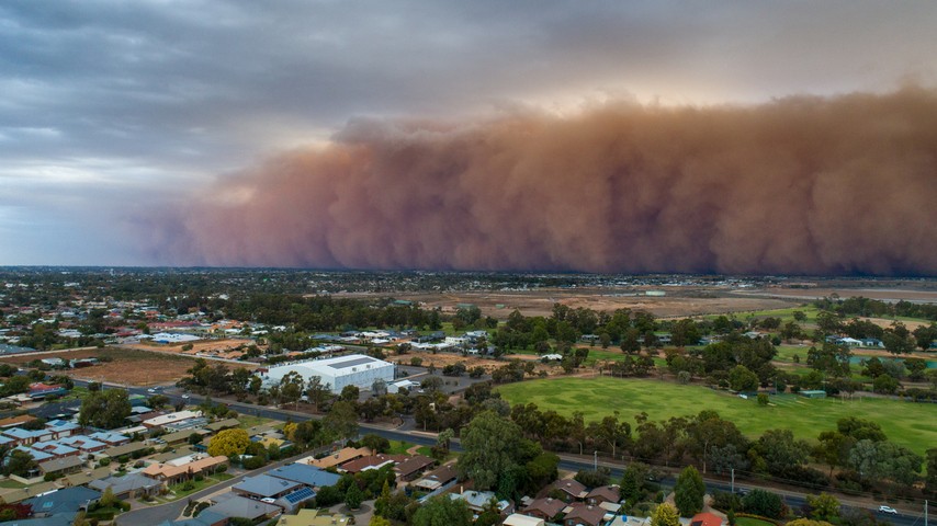 Image: A large dust storm near Mildura, Australia in January 2024. Source: iStock / iSeeiHear