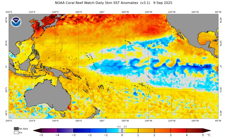 Image: Sea surface temperature anomalies in the Pacific Ocean. Source: NOAA.