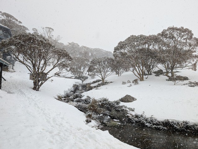 Image: Fresh snow falling on the afternoon of Wednesday, September 10, 2025, at Charlotte Pass, NSW. Source: Source: "Fozzie Bear" via ski.com.au.