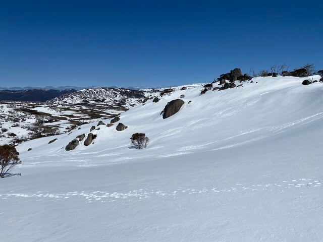 Image: Still plenty of snow on the largely untouched slopes beside the resorts too. This was taken on Friday just near Perisher. Source: Steve Smith