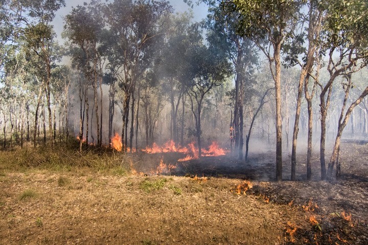 Image: Fire danger is elevated in parts of the NT this week. Source: iStock / Uwe Moser