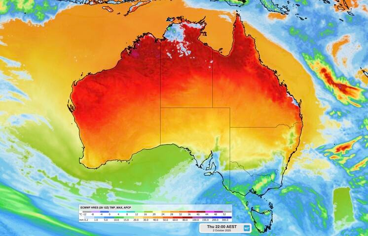 Image: Forecast maximum temperature and daily rainfall on Thursday, October 2, 2025. Source: Weatherzone.