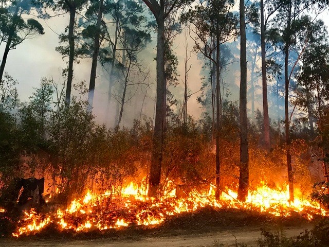 Image: Fires were started by lightning in NSW on Wednesday. Source: iStock/Binikins.