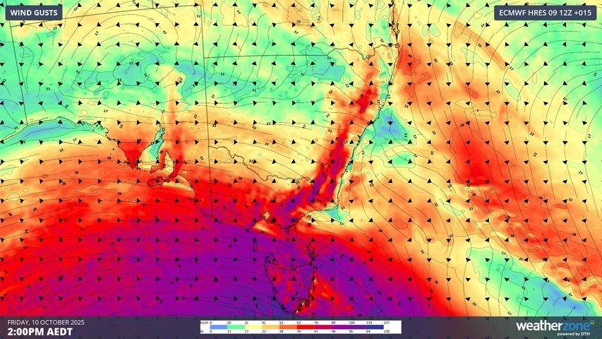 Image: Predicted wind gusts for 2pm (AEDT) Friday, with purple and blue areas indicating potential gusts approaching 100 km/h or even stronger. Source: Weatherzone