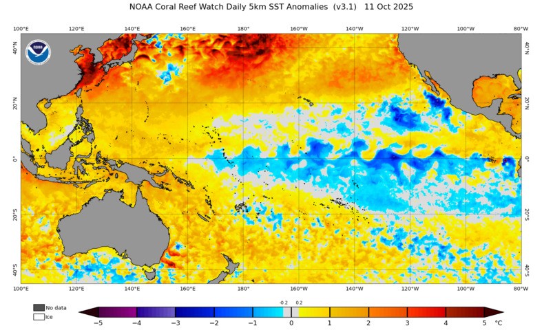 Image: Sea surface temperatures in the Pacific Ocean on October 11, 2025. Source: NOAA.