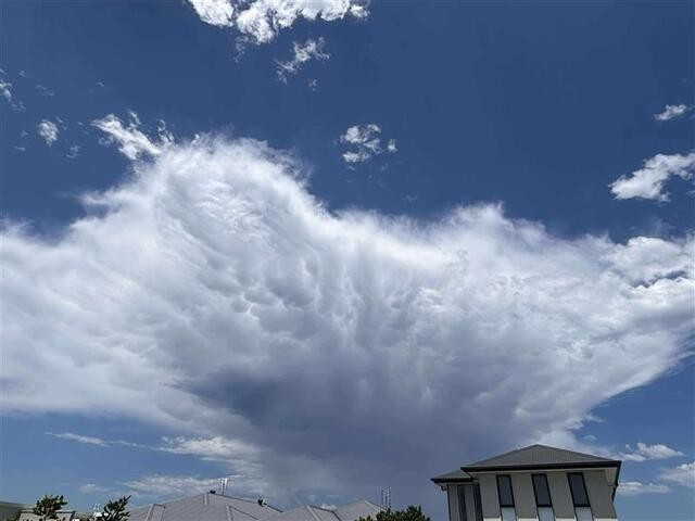 Image: A convective cell with developing mammatus. Sunshine Coast, Qld. Source: James Wall, Weatherzone Meteorologist