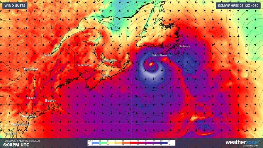 Image: Forecast wind gusts on Tuesday afternoon. Source: Weatherzone.