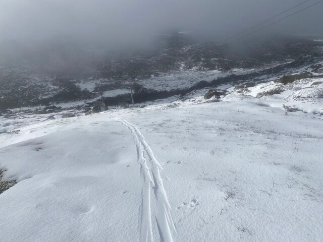 Image: A lone skier's tracks on Mt Perisher, NSW, on December 1, 2025. Source: Steve Smith