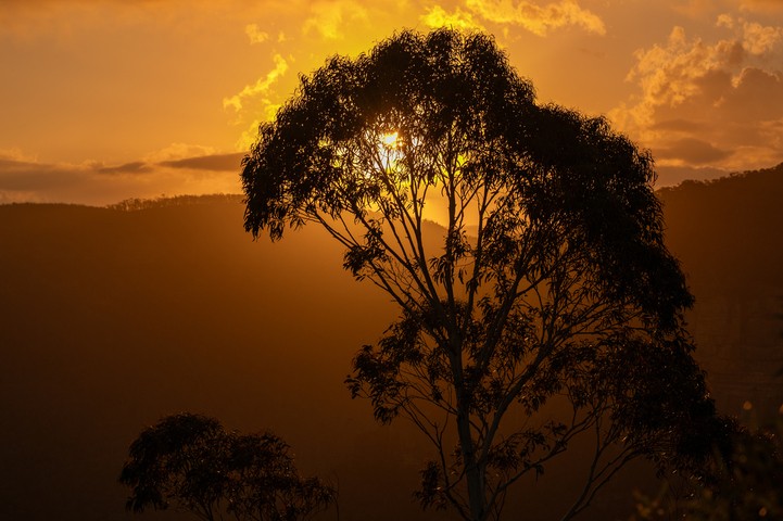 Image: Australia's mean temperature was more than 1.2°C above average in 2025. Source: iStock / Dirk Hoffmann.