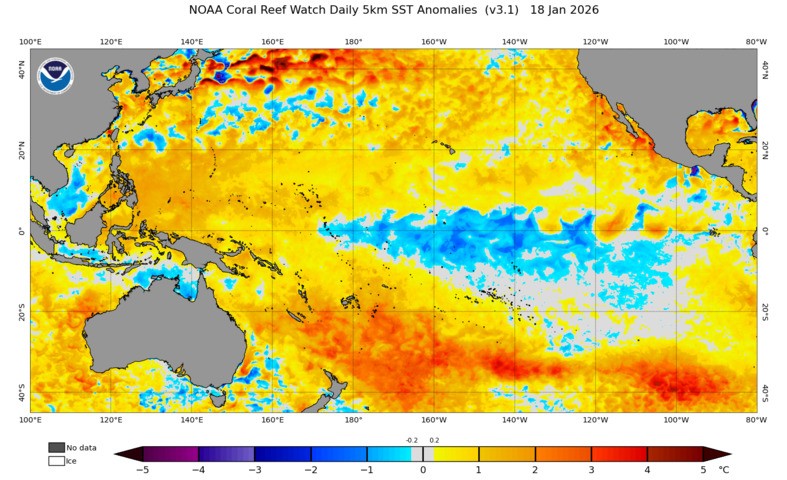 Image: Pacific Ocean sea surface temperature anomaly on January 18, 2026. Source: NOAA.