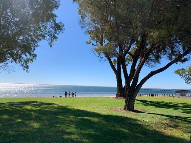 Image: Waterfront parkland at Ceduna, South Australia, on a milder day earlier in January 2026. Source: Ollie Butcher