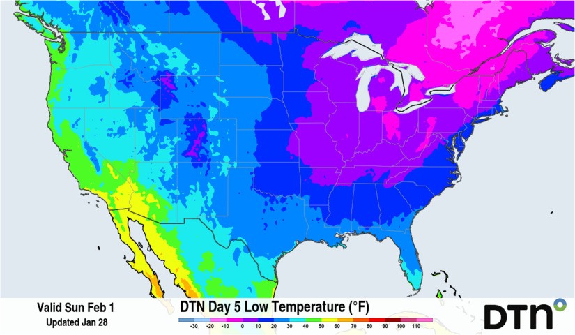 Image: Below-freezing temperatures are forecast for just about all areas east of the Rockies for Sunday morning, February 1. Source: DTN.