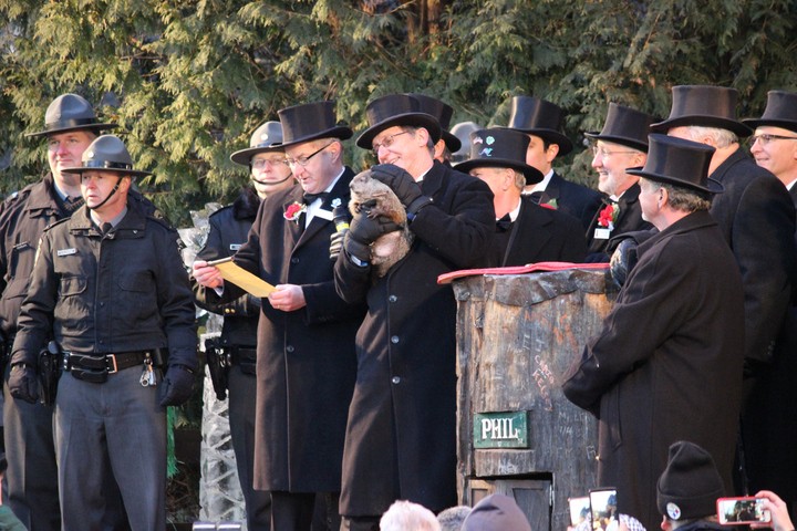 Image: Punxsutawney Phil in 2016. Source: iStock / Christina Lynn Moss.