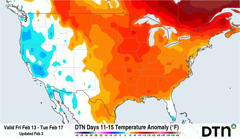 Image: Forecast temperature anomaly for the period from February 13-17, 2026. Source: DTN.