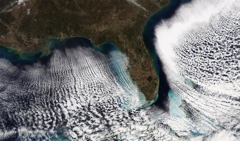 Image: Visible satellite image showing cloud streets off the US southeast coast on February 1, 2026. Source: NASA Worldview.